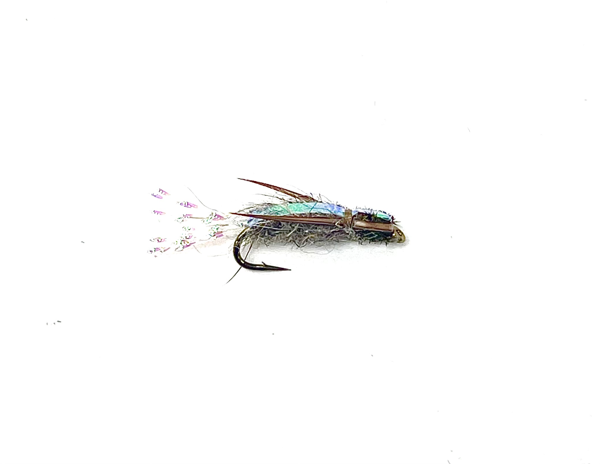Deja Vu Backswimmer